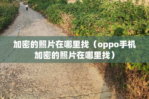 加密的照片在***（oppo手机加密的照片在***）