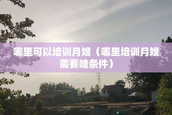 哪里可以培训月嫂（哪里培训月嫂需要啥条件）
