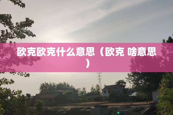 欧克欧克什么意思（欧克 啥意思）