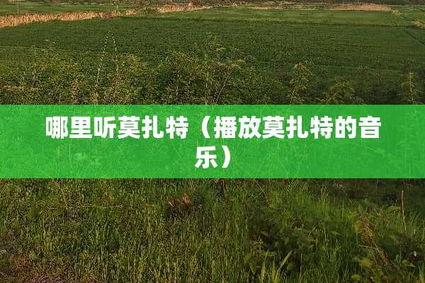 哪里听莫扎特（播放莫扎特的音乐）