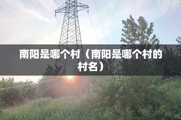 南阳是哪个村（南阳是哪个村的村名）