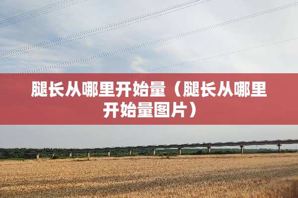 腿长从哪里开始量（腿长从哪里开始量图片）