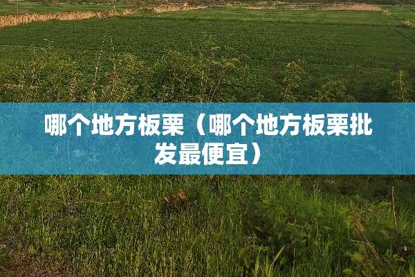 哪个地方板栗（哪个地方板栗批发最便宜）