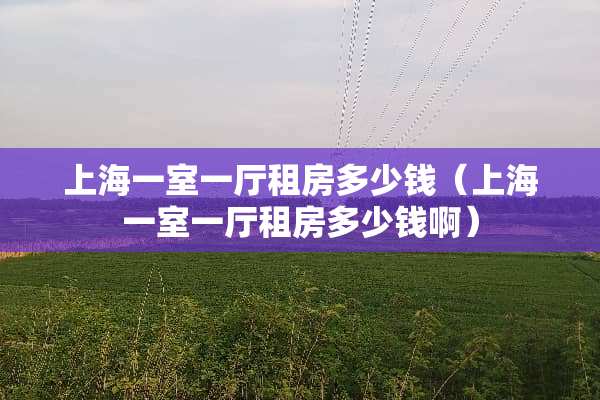 上海一室一厅租房多少钱（上海一室一厅租房多少钱啊）