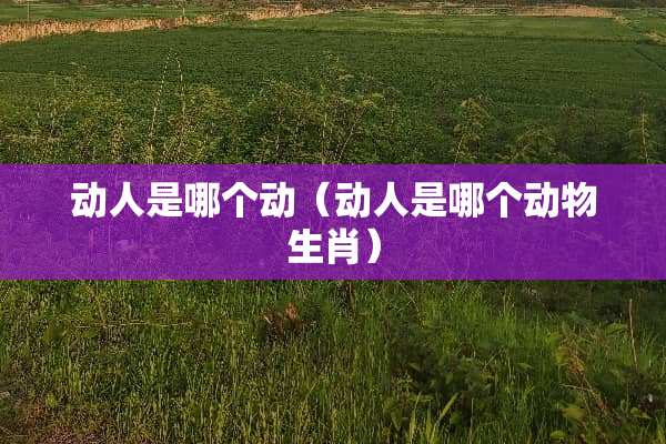 动人是哪个动（动人是哪个动物生肖）