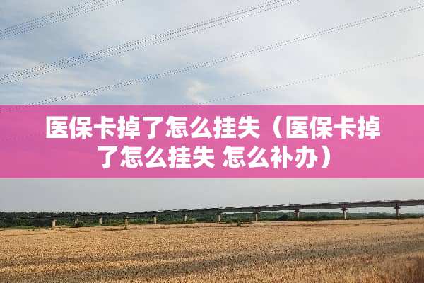 医保卡掉了怎么挂失（医保卡掉了怎么挂失 怎么补办）