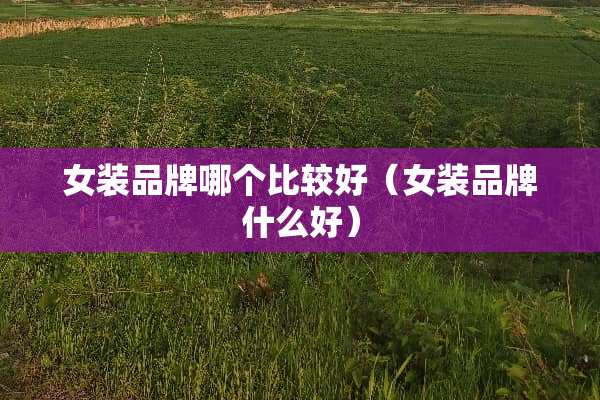 女装品牌哪个比较好（女装品牌什么好）