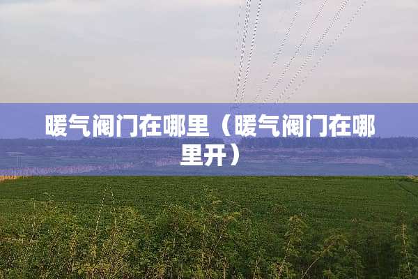 暖气阀门在哪里（暖气阀门在哪里开）