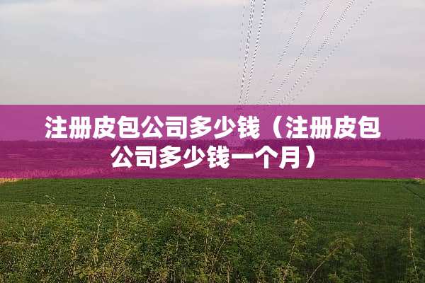 注册皮包公司多少钱（注册皮包公司多少钱一个月）