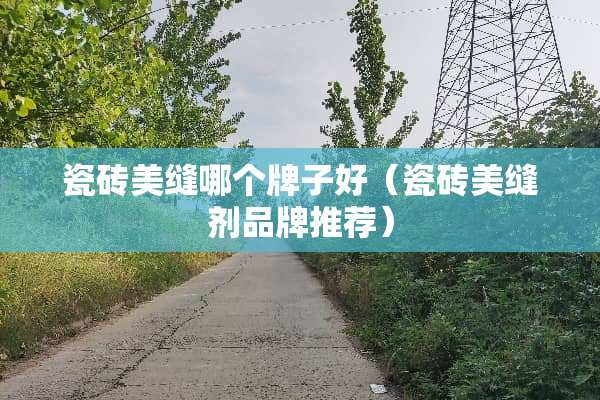 瓷砖美缝哪个牌子好（瓷砖美缝剂品牌推荐）