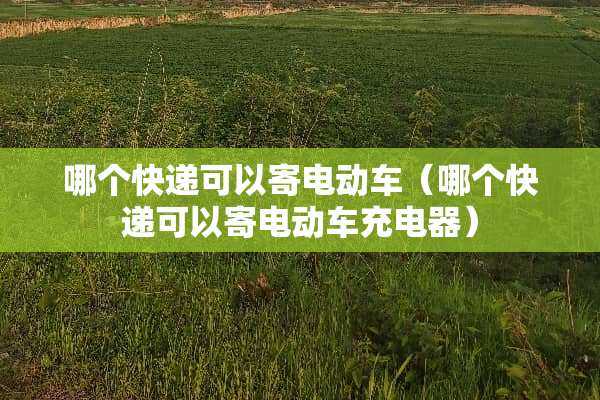 哪个快递可以寄电动车（哪个快递可以寄电动车充电器）