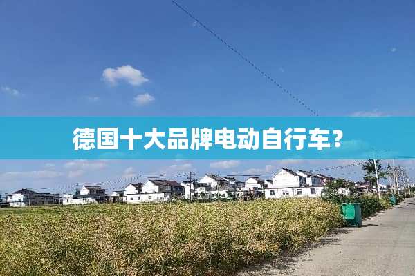 德国十大品牌电动自行车？