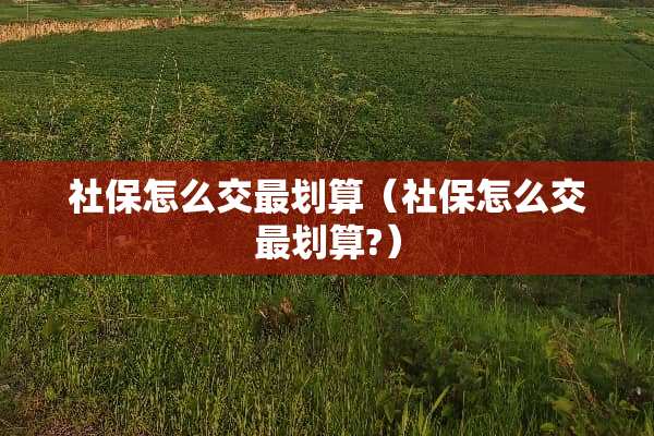 社保怎么交最划算（社保怎么交最划算?）