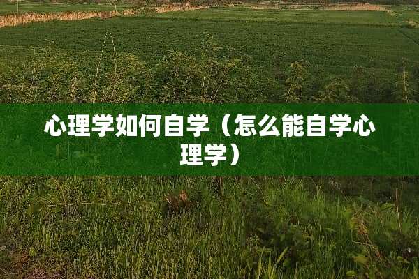 心理学如何自学（怎么能自学心理学）