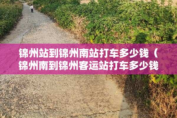 锦州站到锦州南站打车多少钱（锦州南到锦州客运站打车多少钱）