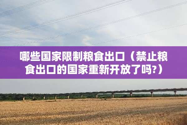 哪些国家限制粮食出口（禁止粮食出口的国家重新开放了吗?）