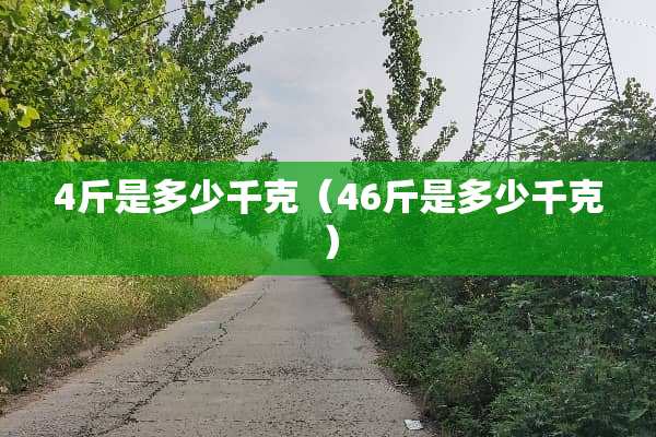 4斤是多少千克（46斤是多少千克）
