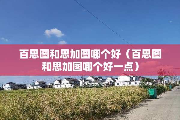 百思图和思加图哪个好（百思图和思加图哪个好一点）