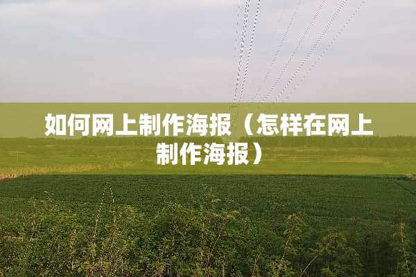 如何网上制作海报（怎样在网上制作海报）