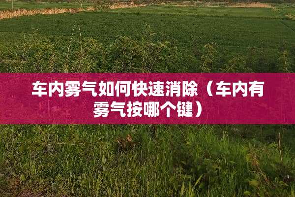 车内雾气如何快速消除（车内有雾气按哪个键）