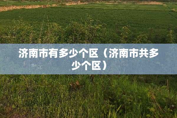 济南市有多少个区（济南市共多少个区）