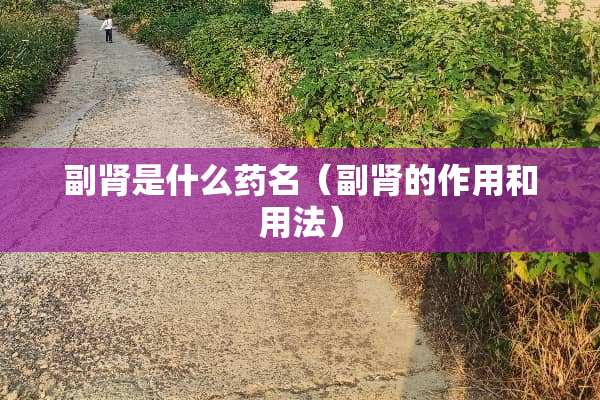 副肾是什么药名（副肾的作用和用法）