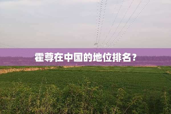 霍尊在中国的地位排名？