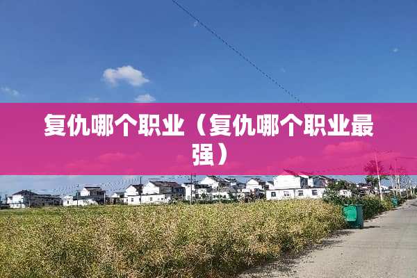 复仇哪个职业（复仇哪个职业最强）