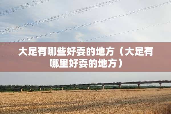 大足有哪些好耍的地方（大足有哪里好耍的地方）