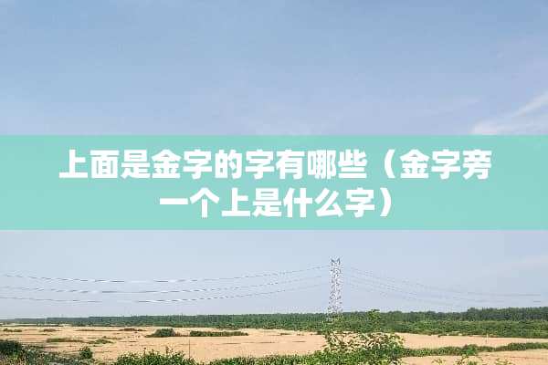 上面是金字的字有哪些（金字旁一个上是什么字）