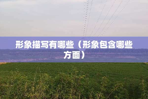 形象描写有哪些（形象包含哪些方面）