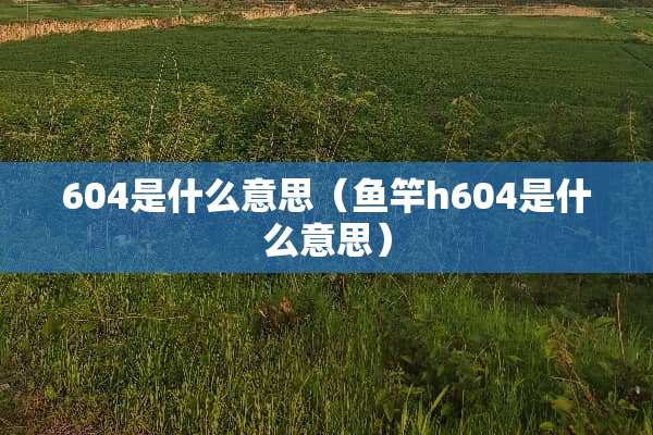 604是什么意思（鱼竿h604是什么意思）