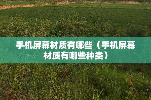 手机屏幕材质有哪些（手机屏幕材质有哪些种类）