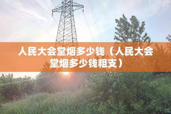 人民大会堂烟多少钱（人民大会堂烟多少钱粗支）