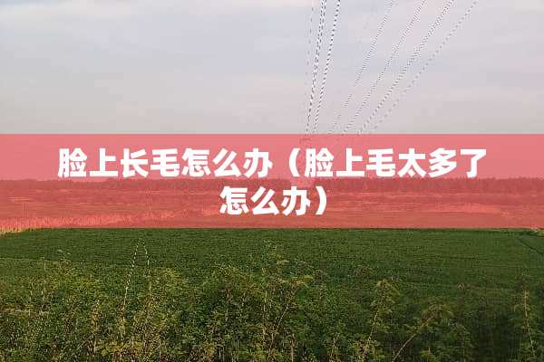 脸上长毛怎么办（脸上毛太多了怎么办）