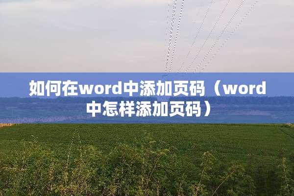 如何在word中添加页码（word中怎样添加页码）