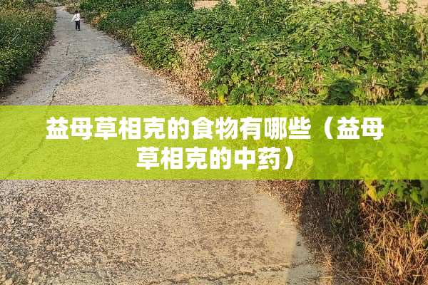 益母草相克的食物有哪些（益母草相克的中药）