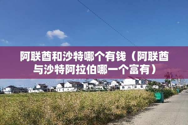 阿联酋和沙特哪个有钱（阿联酋与沙特阿拉伯哪一个富有）