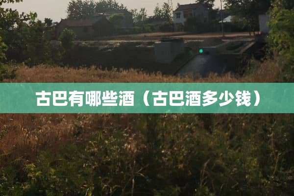 古巴有哪些酒（古巴酒多少钱）
