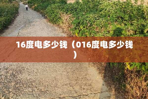 16度电多少钱（016度电多少钱）
