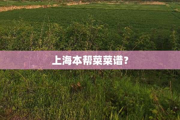 上海本帮菜菜谱？
