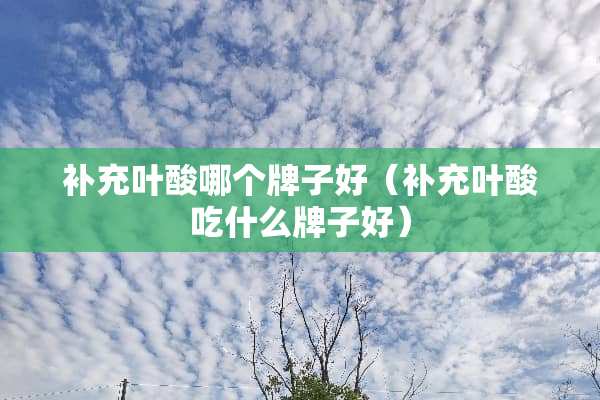 补充叶酸哪个牌子好（补充叶酸吃什么牌子好）