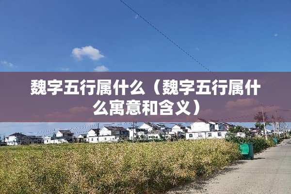 魏字五行属什么（魏字五行属什么寓意和含义）