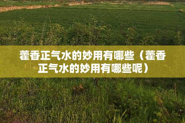 藿香正气水的妙用有哪些（藿香正气水的妙用有哪些呢）