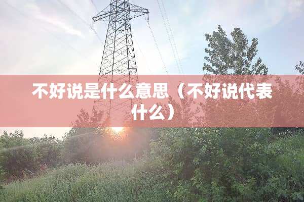 不好说是什么意思（不好说代表什么）