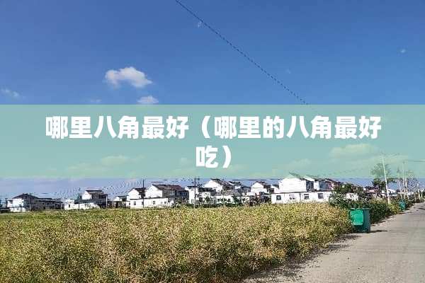 哪里八角最好（哪里的八角最好吃）