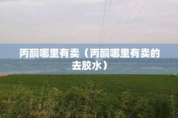 **哪里有卖（**哪里有卖的去胶水）