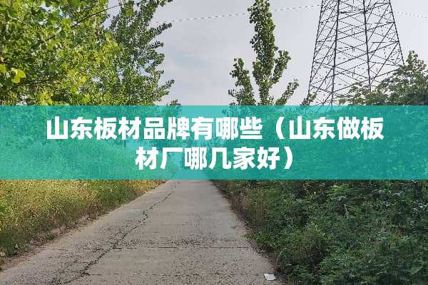 山东板材品牌有哪些（山东做板材厂哪几家好）