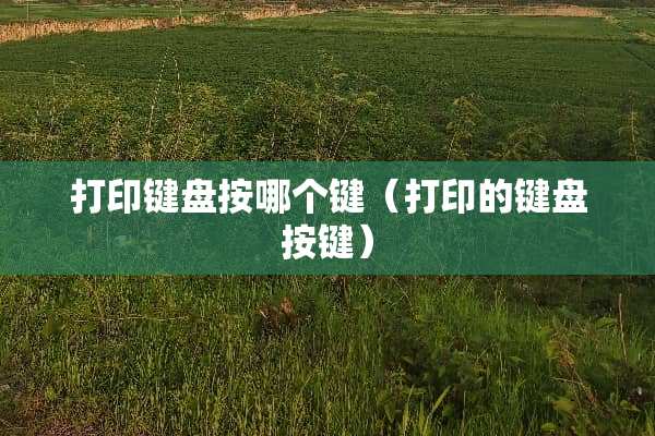 打印键盘按哪个键（打印的键盘按键）