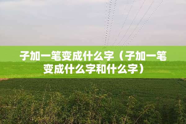 子加一笔变成什么字（子加一笔变成什么字和什么字）